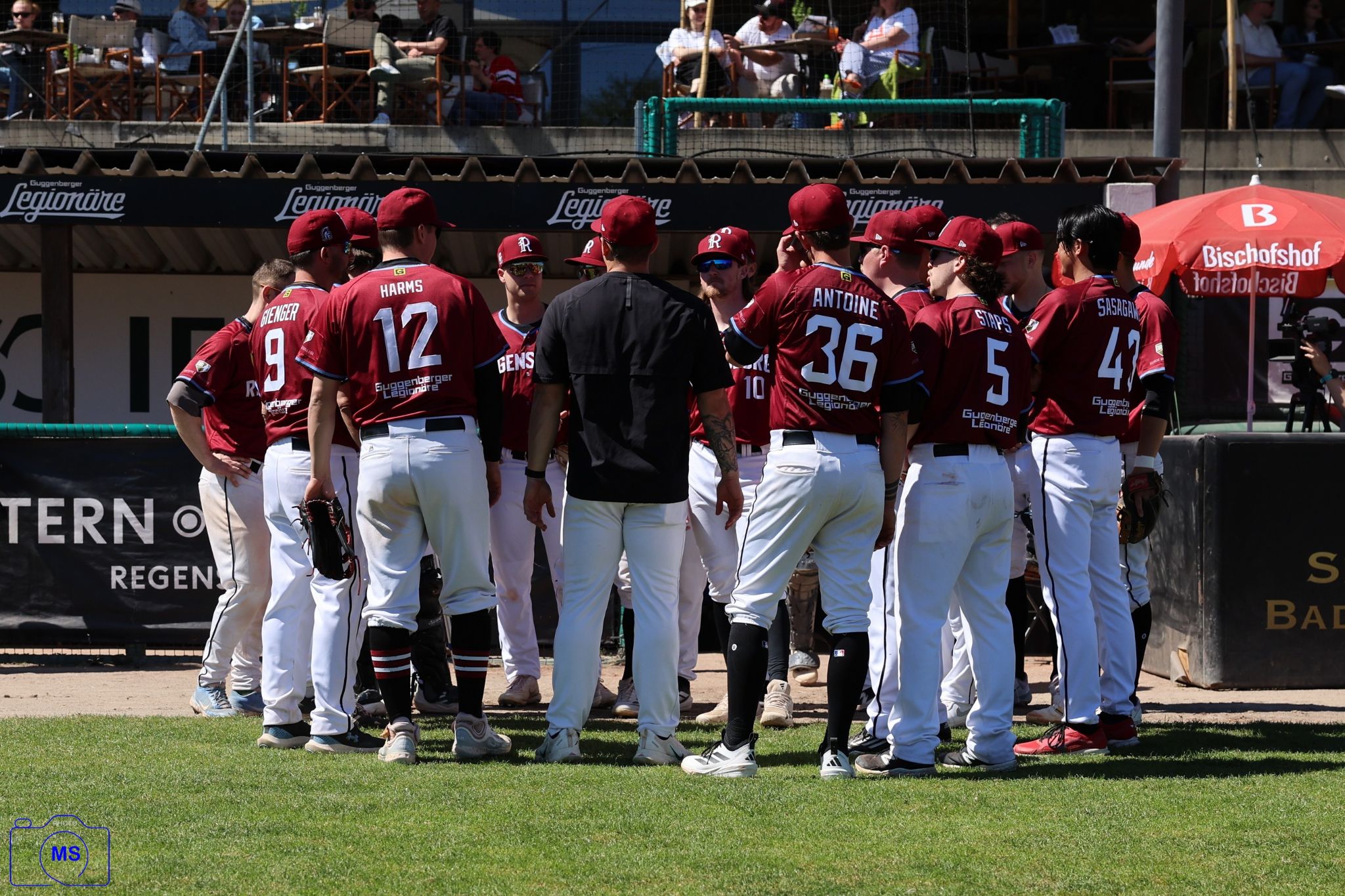 MS3 0024 1