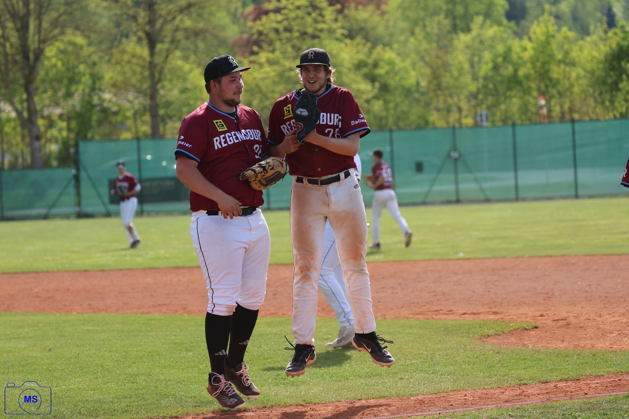 MS3 3321 1